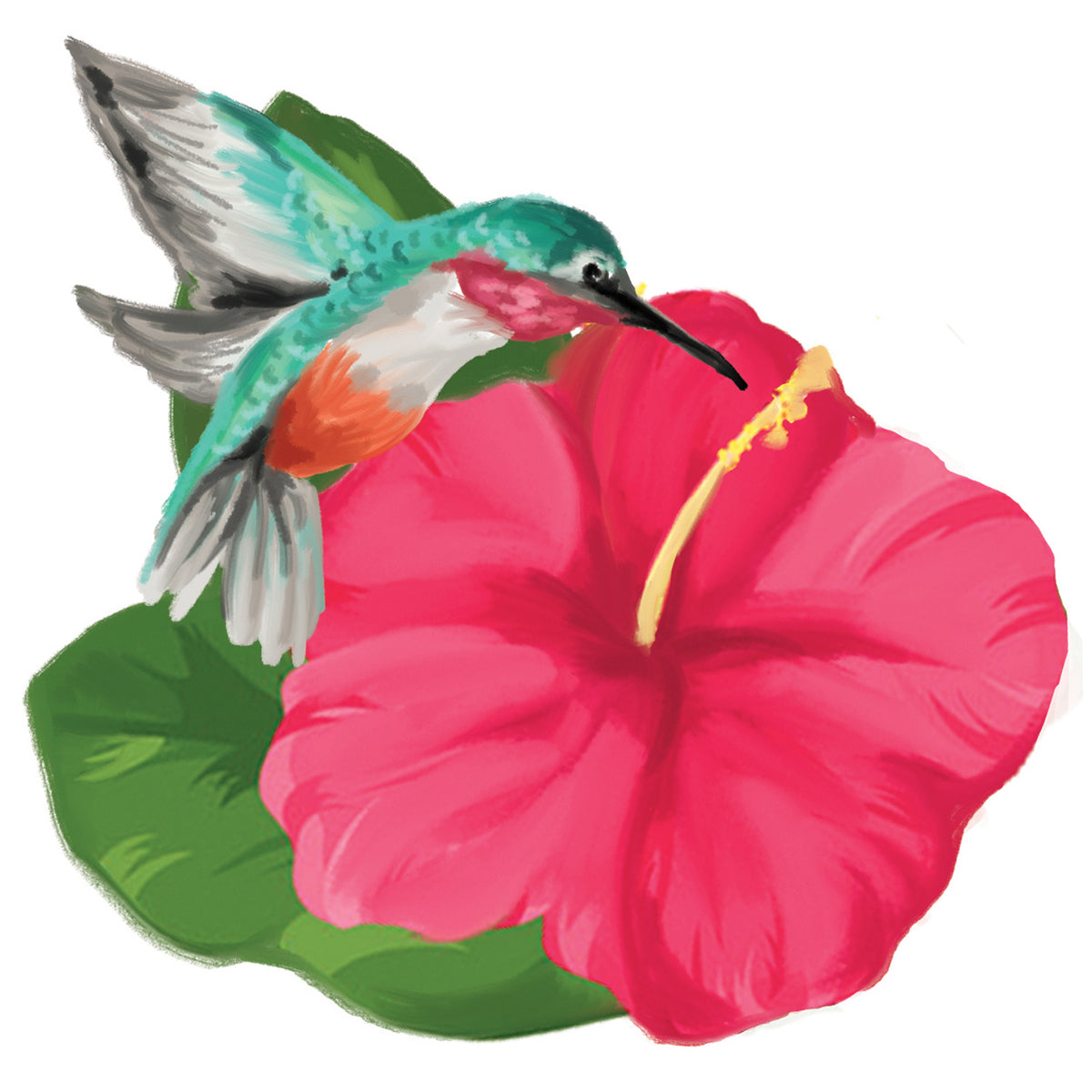 Screen Door Savers, Watercolour Floral Garden - Floral Acres Greenhouse & Garden Centre