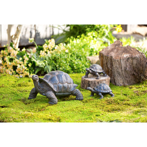 Polystone Tortoise Family Garden Statue, Mama - Floral Acres Greenhouse & Garden Centre