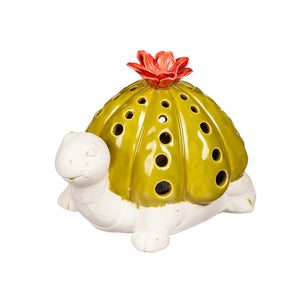 LED Ceramic Turtle with Succulent on Back - Floral Acres Greenhouse & Garden Centre