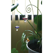 Load image into Gallery viewer, Crystal Guardian Angel Suncatcher, Aquamarine - Floral Acres Greenhouse &amp; Garden Centre
