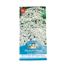 Load image into Gallery viewer, Alyssum - Carpet of Snow Seeds, Mr Fothergill&#39;s - Floral Acres Greenhouse &amp; Garden Centre
