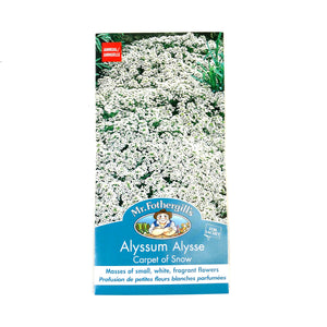 Alyssum - Carpet of Snow Seeds, Mr Fothergill's - Floral Acres Greenhouse & Garden Centre