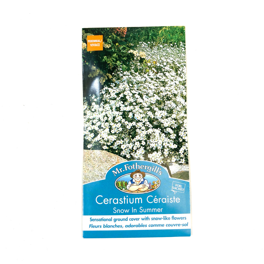 Cerastium - Snow-in-Summer Seeds, Mr Fothergill's - Floral Acres Greenhouse & Garden Centre