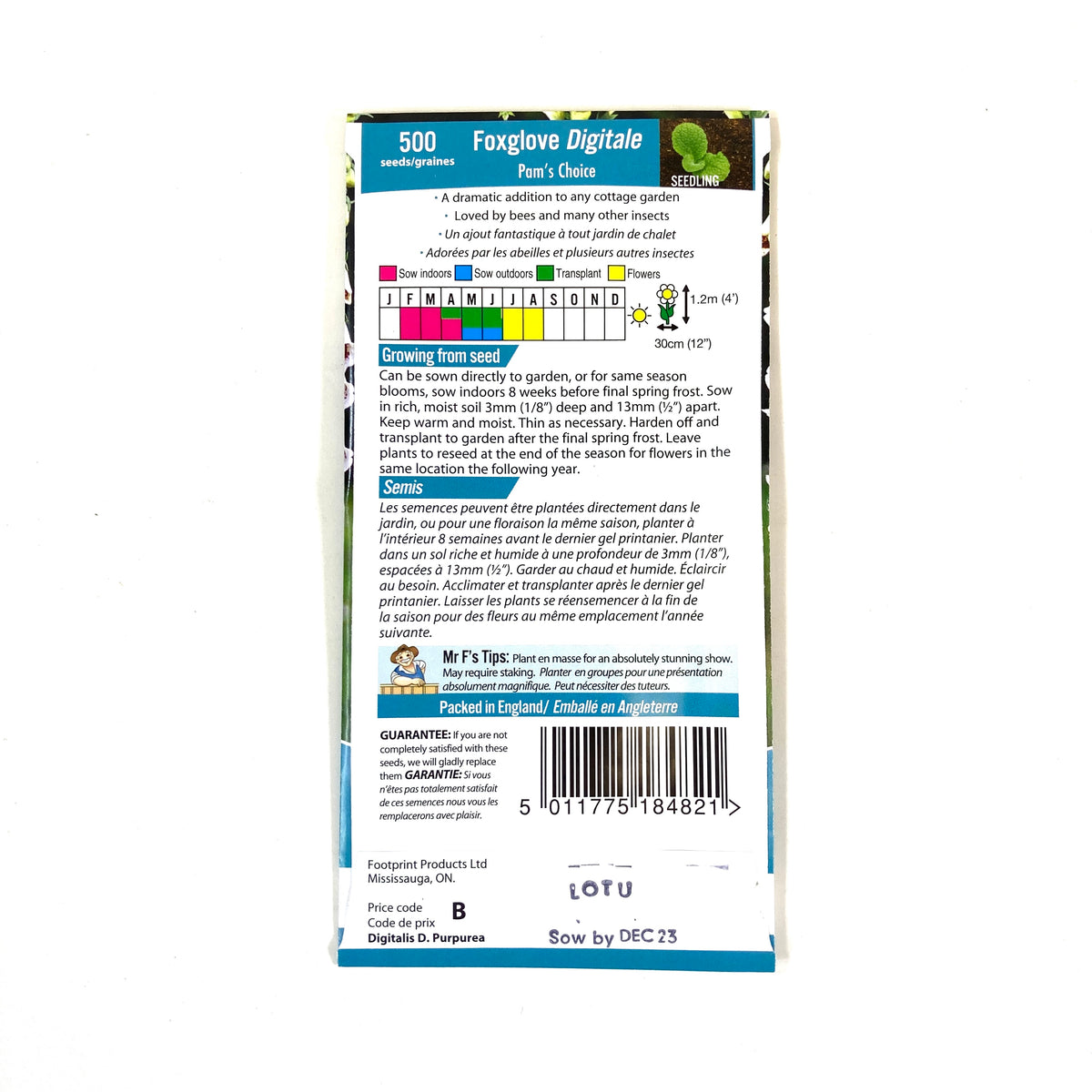Foxglove - Pams Choice Seeds, Mr Fothergill's - Floral Acres Greenhouse & Garden Centre