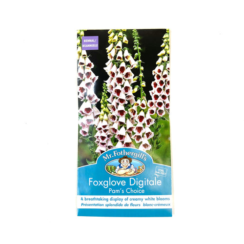 Foxglove - Pams Choice Seeds, Mr Fothergill's - Floral Acres Greenhouse & Garden Centre