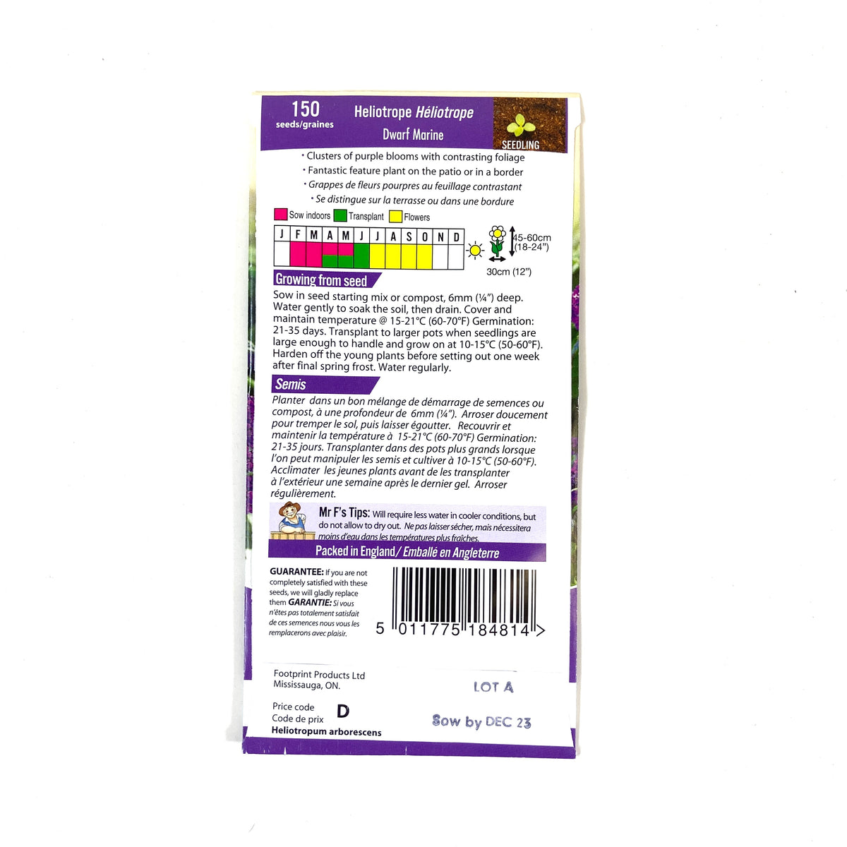 Heliotrope - Dwarf Marine Seeds, Mr Fothergill's - Floral Acres Greenhouse & Garden Centre
