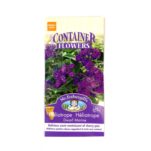 Heliotrope - Dwarf Marine Seeds, Mr Fothergill's - Floral Acres Greenhouse & Garden Centre