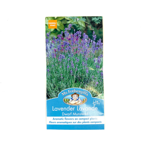 Lavender - Dwarf Munstead Seeds, Mr Fothergill's - Floral Acres Greenhouse & Garden Centre