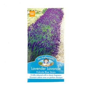 Lavender - Hidcote Blue Seeds, Mr Fothergill's - Floral Acres Greenhouse & Garden Centre