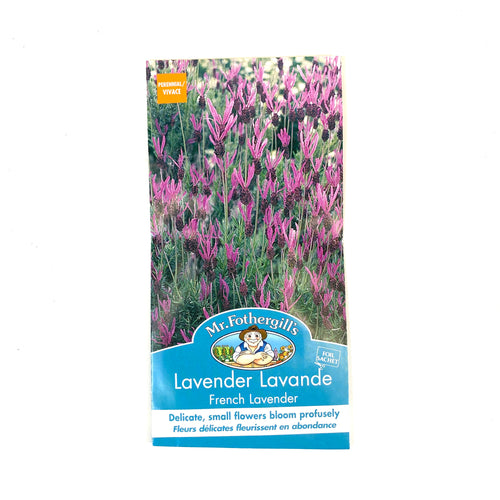 Lavender - French Seeds, Mr Fothergill's - Floral Acres Greenhouse & Garden Centre