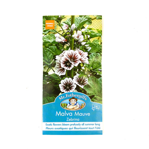 Malva - Zebrina Seeds, Mr Fothergill's - Floral Acres Greenhouse & Garden Centre