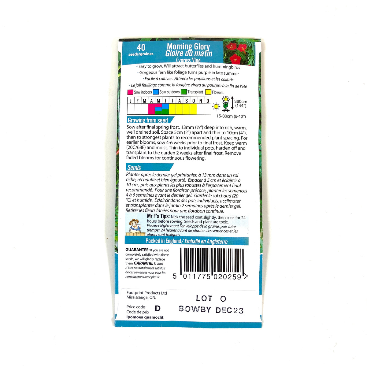 MorningGlory - Cypress Vine Seeds, Mr Fothergill's - Floral Acres Greenhouse & Garden Centre