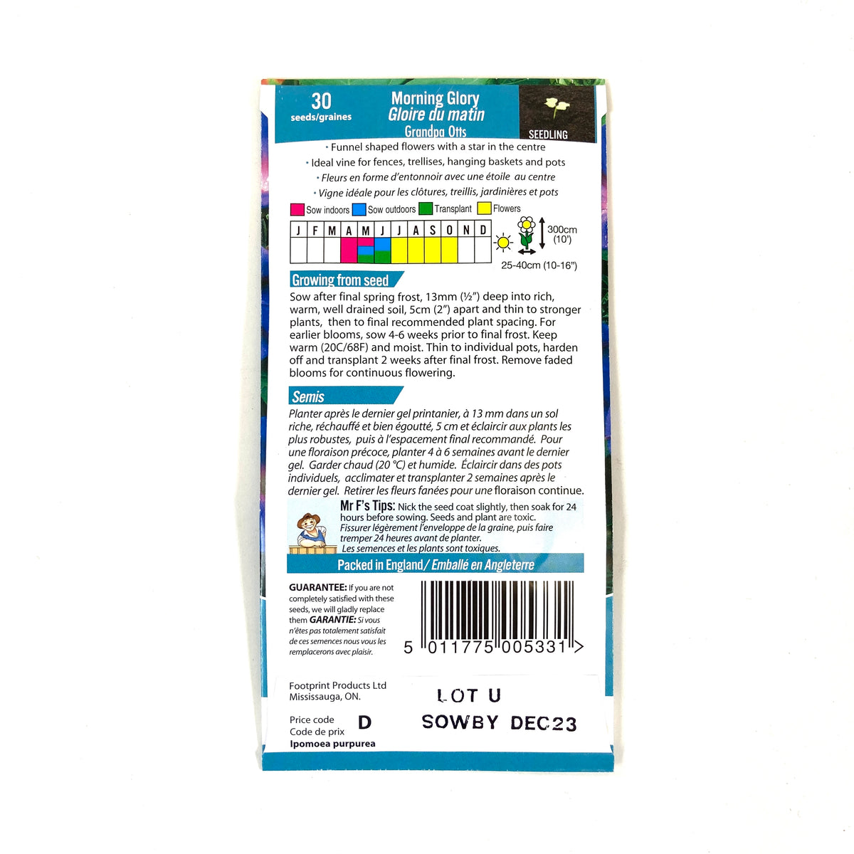 MorningGlory - Grandpa Otts Seeds, Mr Fothergill's - Floral Acres Greenhouse & Garden Centre