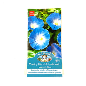 MorningGlory - HeavenlyBlue Seeds, Mr Fothergill's - Floral Acres Greenhouse & Garden Centre