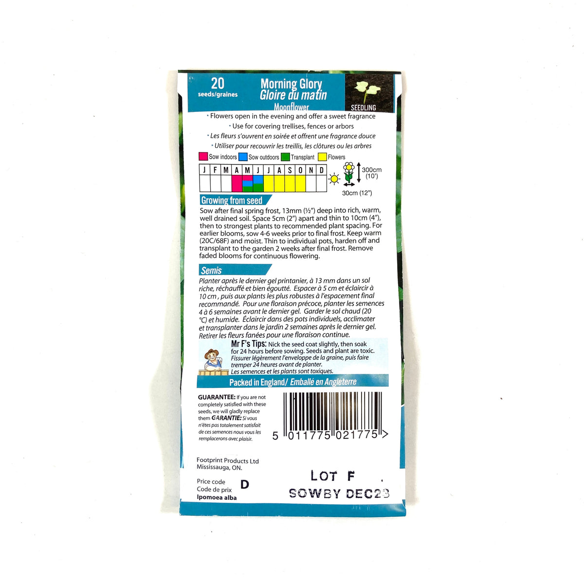 MorningGlory - Moonflower Seeds, Mr Fothergill's - Floral Acres Greenhouse & Garden Centre