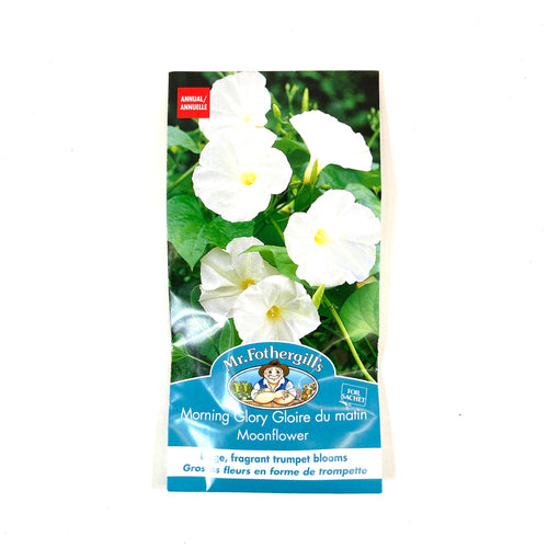 MorningGlory - Moonflower Seeds, Mr Fothergill's - Floral Acres Greenhouse & Garden Centre
