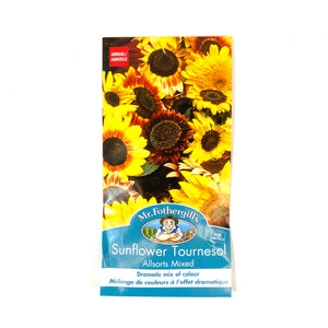 Sunflower - Allsorts Mix Seeds, Mr Fothergill's - Floral Acres Greenhouse & Garden Centre