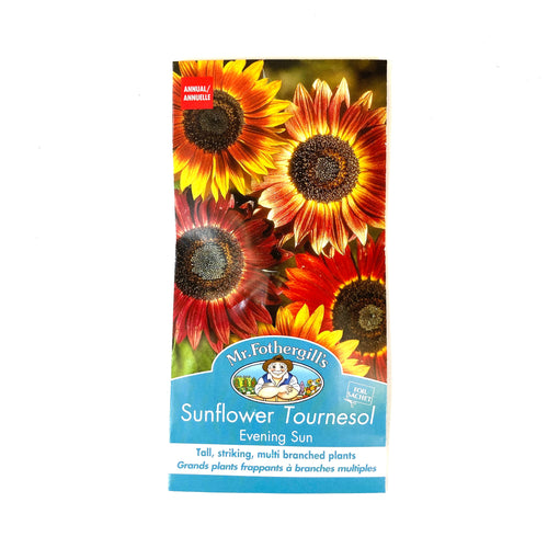 Sunflower - Evening Sun Seeds, Mr Fothergill's - Floral Acres Greenhouse & Garden Centre