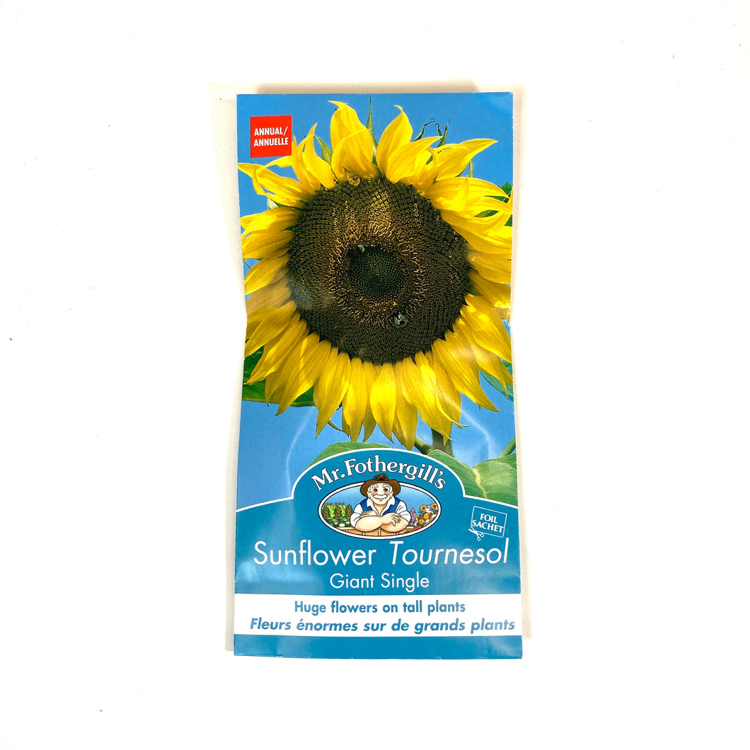 Sunflower - Giant Single Seeds, Mr Fothergill's - Floral Acres Greenhouse & Garden Centre