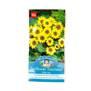 Sunflower - Little Leo Seeds, Mr Fothergill's - Floral Acres Greenhouse & Garden Centre