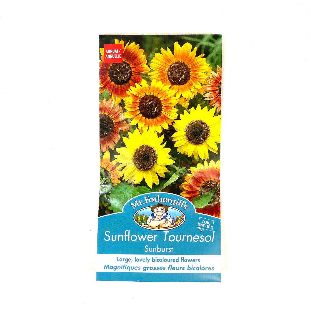 Sunflower - Sunburst Seeds, Mr Fothergill's - Floral Acres Greenhouse & Garden Centre