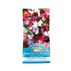 Sweet Pea - Old Spice Seeds, Mr Fothergill's - Floral Acres Greenhouse & Garden Centre