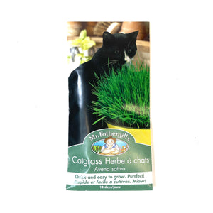 Cat Grass (Avena Sativa) Seeds, Mr Fothergill's - Floral Acres Greenhouse & Garden Centre