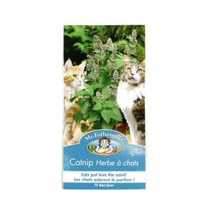 Catnip Seeds, Mr Fothergill's - Floral Acres Greenhouse & Garden Centre
