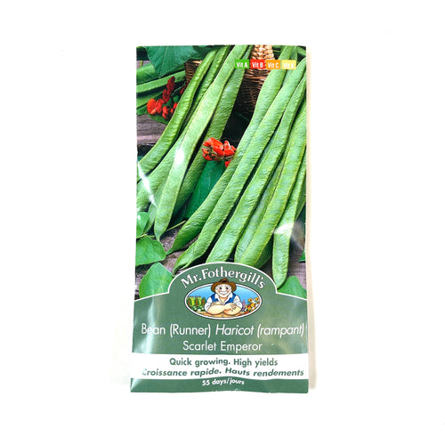 Bean Runner - Scrlt Emperor Seeds, Mr Fothergill's - Floral Acres Greenhouse & Garden Centre
