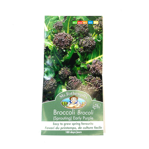 Broccoli - Purple Sprouting Seeds, Mr Fothergill's - Floral Acres Greenhouse & Garden Centre