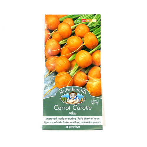 Carrot - Atlas Seeds, Mr Fothergill's - Floral Acres Greenhouse & Garden Centre