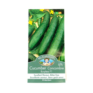 Cucumber - Burpless F1 Seeds, Mr Fothergill's - Floral Acres Greenhouse & Garden Centre