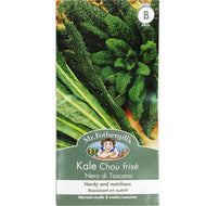 Kale - Dwarf Green Curled Seeds, Mr Fothergill's