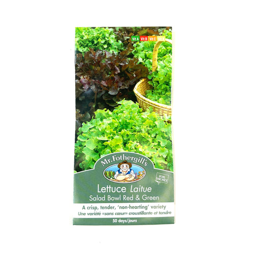 Lettuce - Salad Bowl Mix Seeds, Mr Fothergill's - Floral Acres Greenhouse & Garden Centre