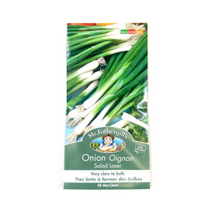 Onion - Salad Laser Seeds, Mr Fothergill's - Floral Acres Greenhouse & Garden Centre