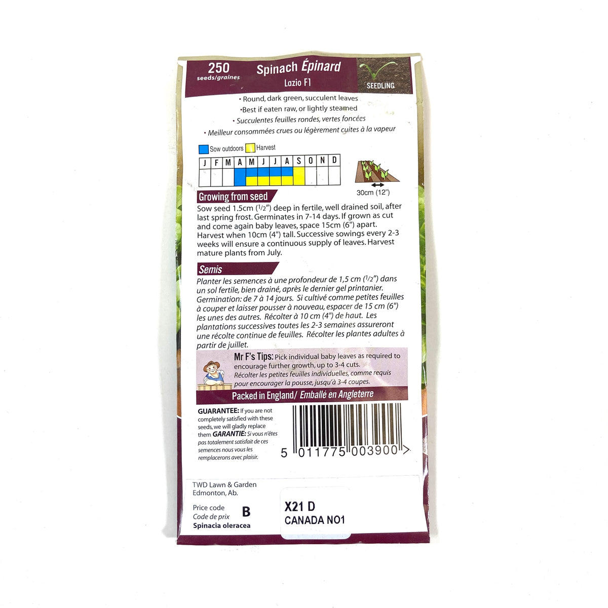 Spinach - Lazio Seeds, Mr Fothergill's - Floral Acres Greenhouse & Garden Centre