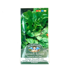 Spinach - Beet Leaf Seeds, Mr Fothergill's - Floral Acres Greenhouse & Garden Centre