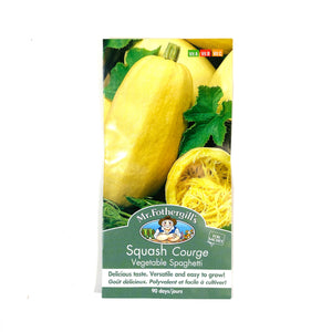 Squash - Spaghetti Seeds, Mr Fothergill's - Floral Acres Greenhouse & Garden Centre