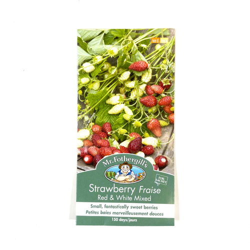Strawberry - Red/White Mix Seeds, Mr Fothergill's - Floral Acres Greenhouse & Garden Centre