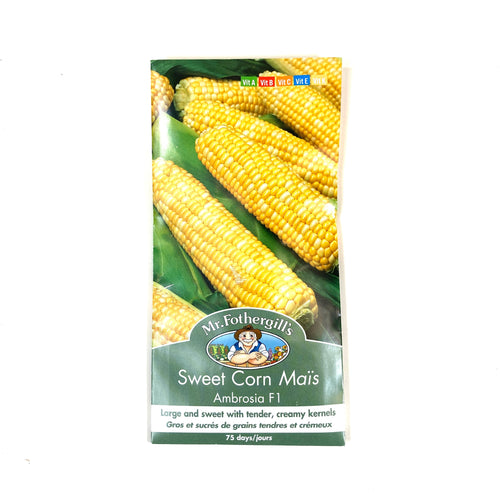 Sweet Corn - Ambrosia Seeds, Mr Fothergill's - Floral Acres Greenhouse & Garden Centre