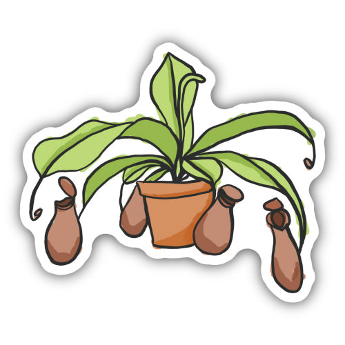 Pitcher Plant Sticker, 3in - Floral Acres Greenhouse & Garden Centre