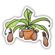 Pitcher Plant Sticker, 3in - Floral Acres Greenhouse & Garden Centre