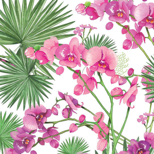 Paper Cocktail Napkin, 20 Count, Orchids & Palms - Floral Acres Greenhouse & Garden Centre