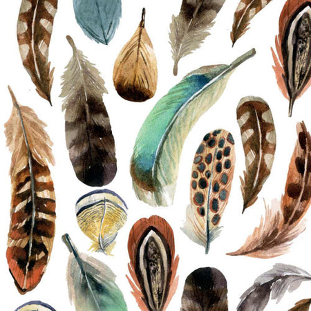 Paper Cocktail Napkin, 20 Count, Aquarell Feathers - Floral Acres Greenhouse & Garden Centre