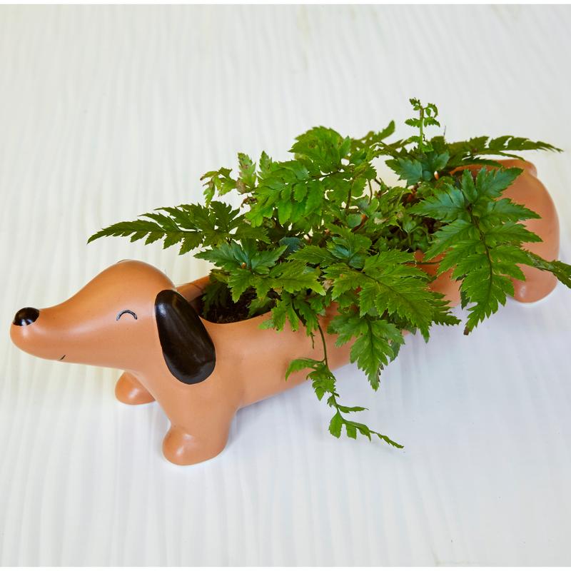 Planter, Daisy the Dachshund - Floral Acres Greenhouse & Garden Centre