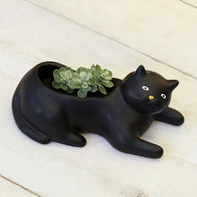 Load image into Gallery viewer, Planter, Cosmo the Black Cat - Floral Acres Greenhouse &amp; Garden Centre
