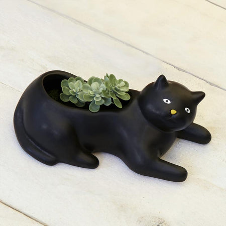 Planter, Cosmo the Black Cat - Floral Acres Greenhouse & Garden Centre