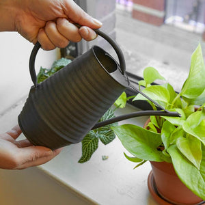Galvanized Zinc Watering Can, Black - Floral Acres Greenhouse & Garden Centre