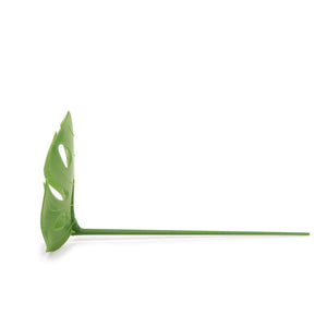 Food Picks, Monstera Leaf, 20 pack - Floral Acres Greenhouse & Garden Centre