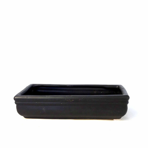 Planter, Ceramic, Rectangular Dish, Matte Black - Floral Acres Greenhouse & Garden Centre